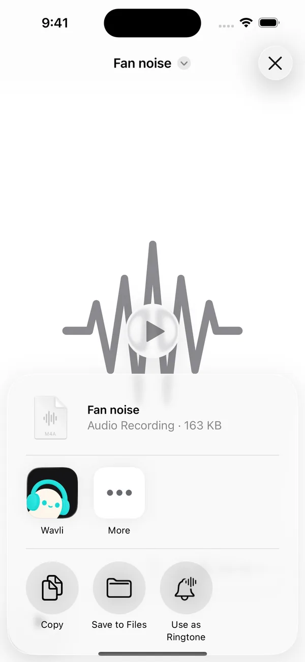 Files app share sheet for the audio file Fan noise, 163 KB, with the Wavli app at the start of the app row
